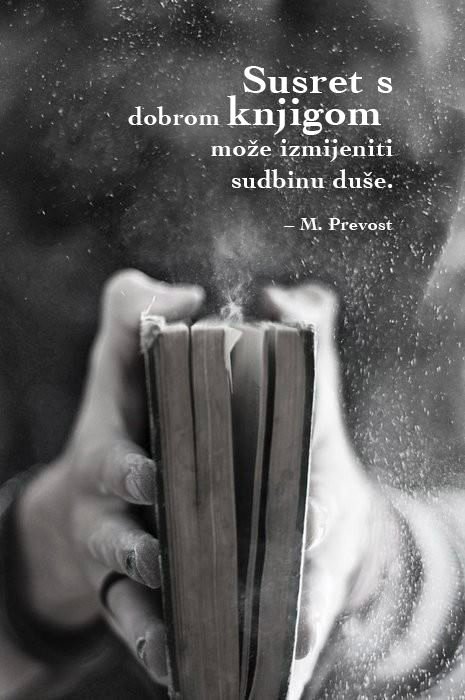 Književnost (beletristika)