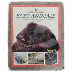 Baby Animals David Alderton