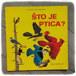 Čudesni svijet prirode: Što je ptica? Jenifer W. Day