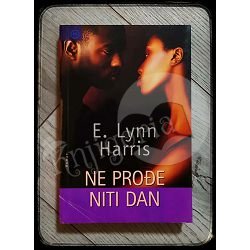 NE PROĐE NITI DAN E. Lynn Harris